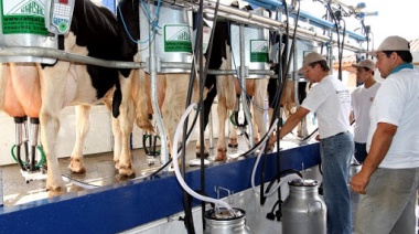 ¿Cómo viene la industria láctea argentina?